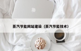 天长蒸汽节能网站建设（蒸汽节能技术）