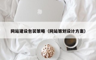 天长网站建设包装策略（网站策划设计方案）